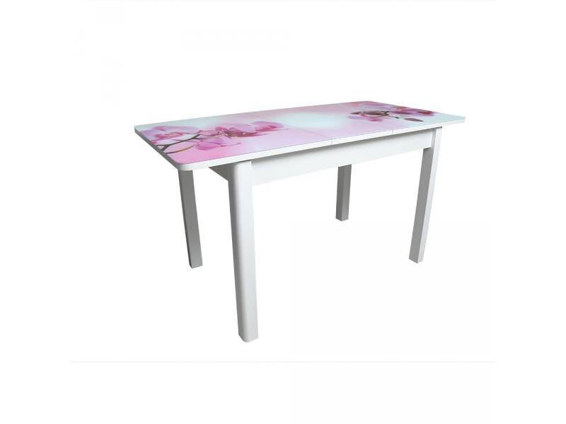 обеденный стол айсберг-02 ст со стеклом и фотопечатью в Нижневартовске