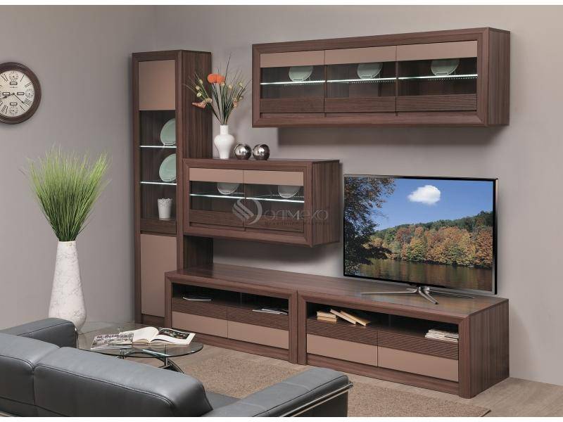 гостиная стенка «камелия» в Нижневартовске