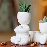 набор для выращивания eco йог в Нижневартовске