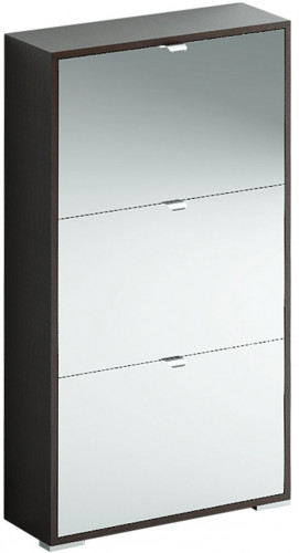 шкаф для обуви reggy 3 широкий зеркальный в Нижневартовске