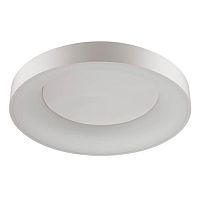 потолочный светодиодный светильник odeon light sole 4062/80cl в Нижневартовске