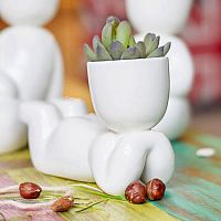 набор для выращивания eco мечтатель в Нижневартовске