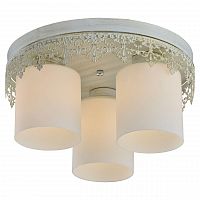 потолочная люстра lussole lgo promo lsp-0049 в Нижневартовске