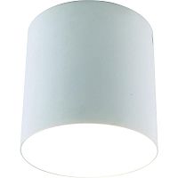 потолочный светильник divinare tubo 1463/03 pl-1 в Нижневартовске