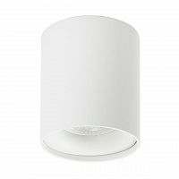 потолочный светильник denkirs dk2032-wh в Нижневартовске