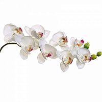 искусственный цветок орхидея белая 85 см в Нижневартовске