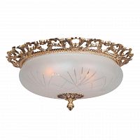 потолочный светильник arti lampadari venezia e 1.13.46 g в Нижневартовске