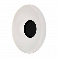 уличный настенный светодиодный светильник st luce sl925.401.01 в Нижневартовске