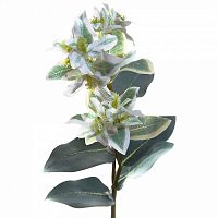 искусственный цветок китайский жасмин белый 75 см в Нижневартовске