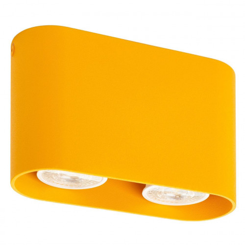 потолочный светильник denkirs dk2006-ye в Нижневартовске