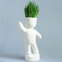 набор для выращивания eco победитель в Нижневартовске