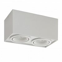 потолочный светильник denkirs dk2004-wh в Нижневартовске