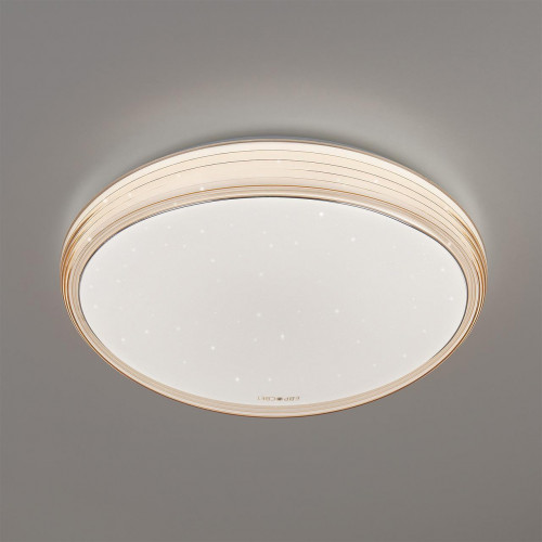 потолочный светодиодный светильник eurosvet universal 40008/1 led кофе в Нижневартовске