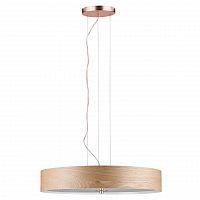 подвесной светильник paulmann alva 79649 в Нижневартовске