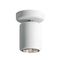 потолочный светильник d84e0501 от fabbian в Нижневартовске