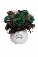 декоративный цветок dolora в Нижневартовске