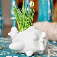 набор для выращивания eco самолет в Нижневартовске