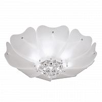 потолочный светильник lightstar lobo 804020 в Нижневартовске