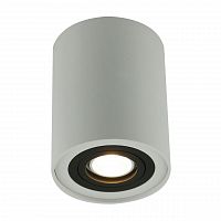 потолочный светильник arte lamp a5644pl-1wh в Нижневартовске