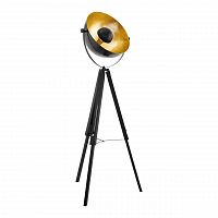 торшер eglo covaleda 49618 в Нижневартовске