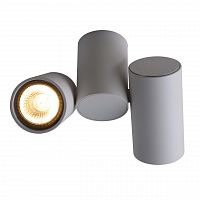 потолочный светильник divinare gavroche 1354/03 pl-2 в Нижневартовске