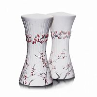 солонка и перечница рябинки в Нижневартовске