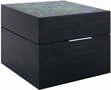 шкатулка ha14090 (handpainted) в Нижневартовске