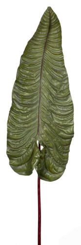 декор alocasia в Нижневартовске