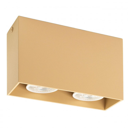 потолочный светильник denkirs dk2028-co в Нижневартовске