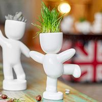 набор для выращивания eco танцор в Нижневартовске