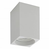 потолочный светильник denkirs dk2009-wh в Нижневартовске