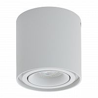 потолочный светильник denkirs dk2001-wh в Нижневартовске