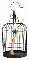 декоративная клетка с птичкой jaula в Нижневартовске