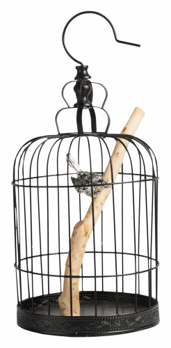 декоративная клетка с птичкой jaula в Нижневартовске