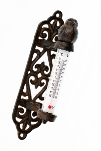 термометр снегирь в Нижневартовске