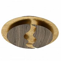 потолочный светодиодный светильник de markt иланг 712011701 в Нижневартовске