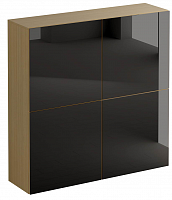 шкаф gusto дуб гальяно в Нижневартовске