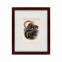 картина: squirrel, 1879 в Нижневартовске