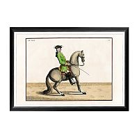 арт-постер «верховая езда, урок № 9» в Нижневартовске