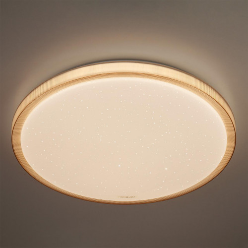 потолочный светодиодный светильник eurosvet sandy 40015/1 led кофе в Нижневартовске