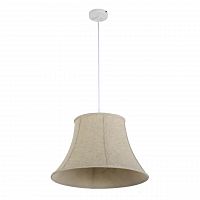 подвесной светильник arti lampadari cantare e 1.3.p1 lg в Нижневартовске