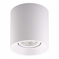 потолочный светильник denkirs dk3040-wh в Нижневартовске