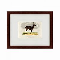 картина: a roebuck, 1830 в Нижневартовске