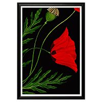 арт-постер мак снотворный в Нижневартовске