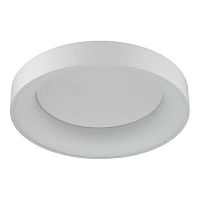 потолочный светодиодный светильник odeon light sole 4062/40cl в Нижневартовске