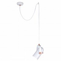 подвесной светильник favourite ampolla 2008-1p в Нижневартовске