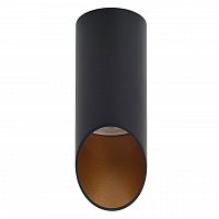 потолочный светильник denkirs dk2011-bk в Нижневартовске