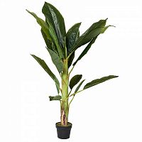 декор банановый куст в Нижневартовске