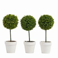 набор из 3 декоративных растений в горшке tallman в Нижневартовске