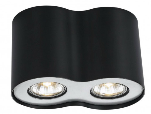 потолочный светильник arte lamp falcon a5633pl-2bk в Нижневартовске